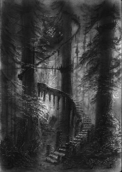 The Stairs in the Forest, 2023
